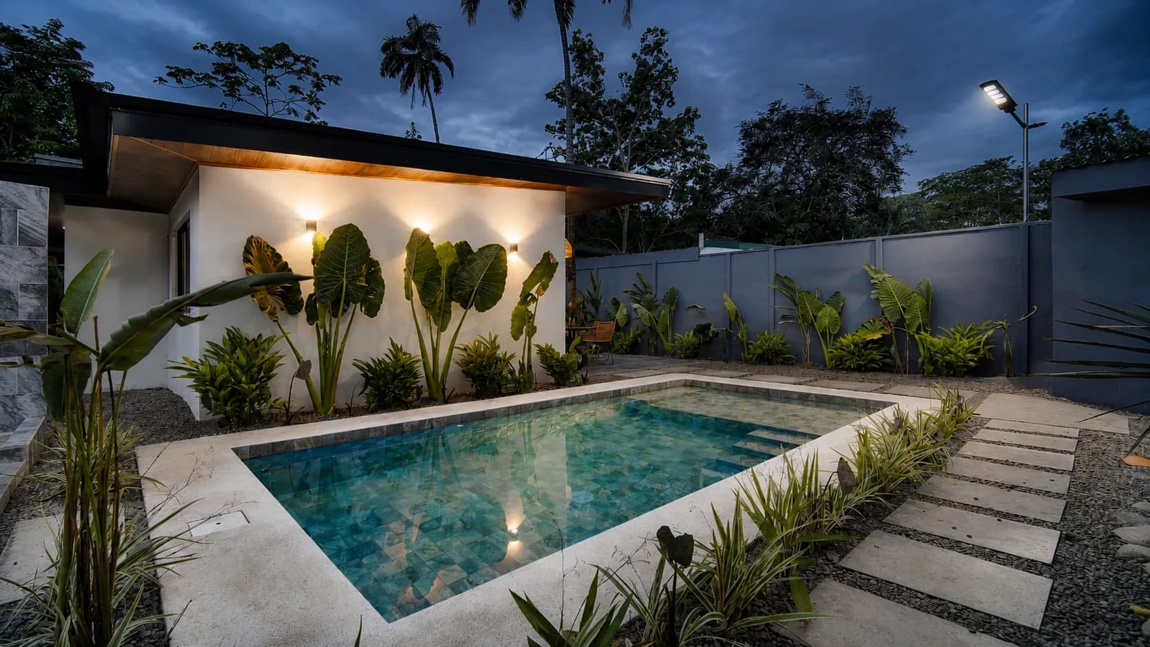 Piscina y terraza